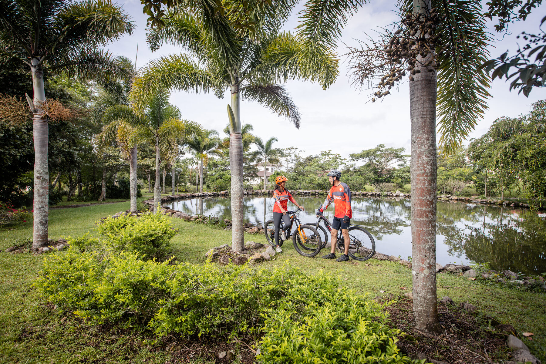 Lagos y palmeras de la hacienda
